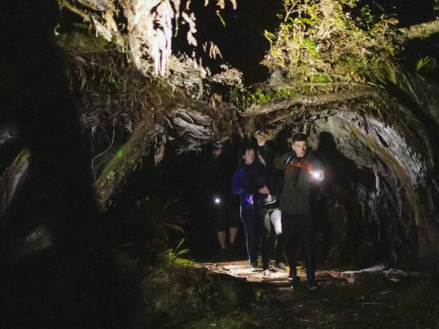 Stewart Island Wild Kiwi Encounter