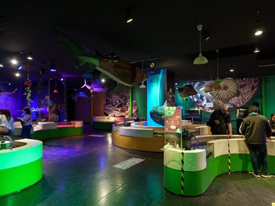 Acuario Inbursa en Ciudad de México: Boleto de Entrada