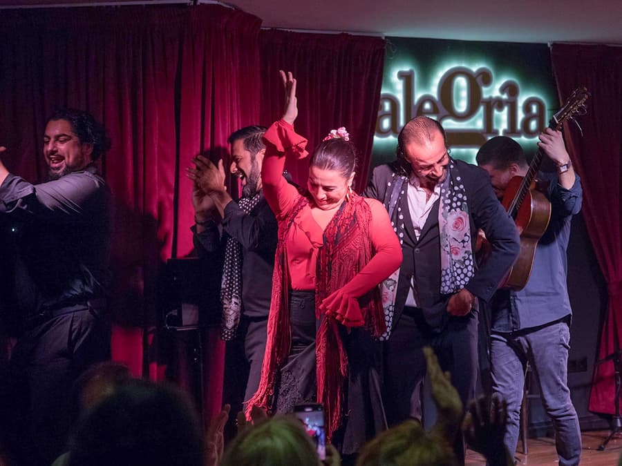 Alegría - Flamenco Show