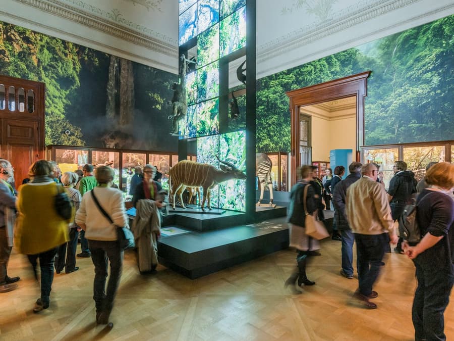 AfricaMuseum Brussels: Entry Ticket