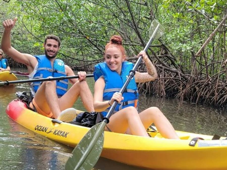 Mangrove Jungle: SUP/Kayak Adventure + Drinks