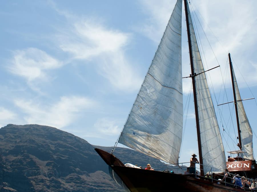 Los Gigantes: 5-Hr Guided Whale Watching Cruise from Costa Adeje + Lunch