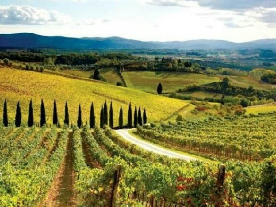 Chianti, Montalcino & San Gimignano: Wine Tasting + Day Trip from Siena