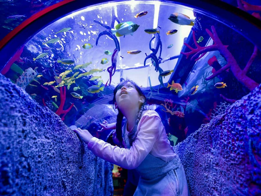 LEGOLAND® Malaysia SEA LIFE