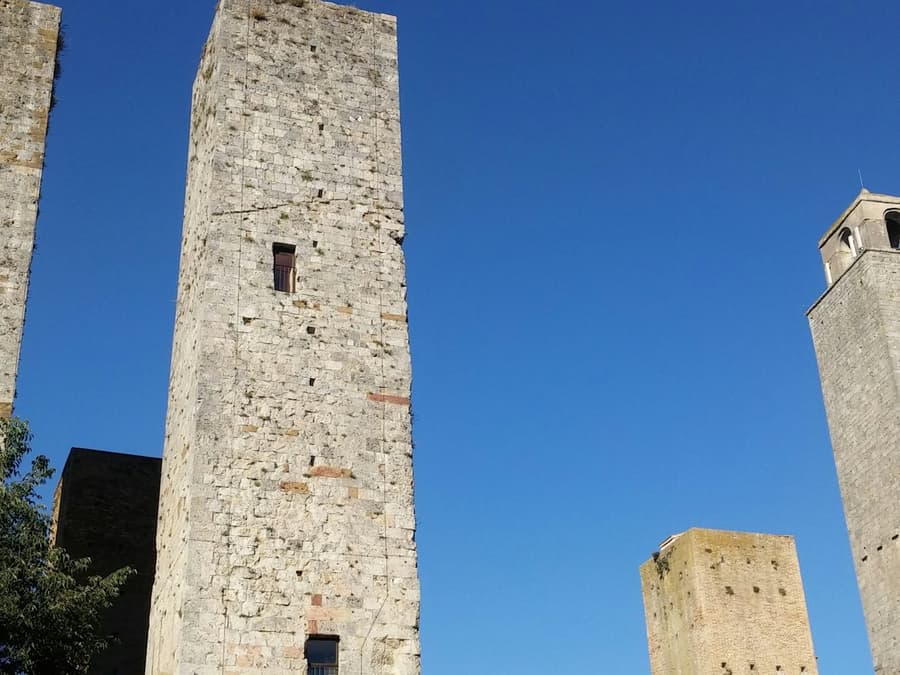 San Gimignano: Vineyard Guided Tour + Wine Tasting + Lunch
