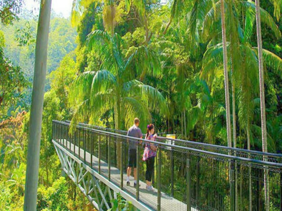 Tamborine Rainforest Skywalk: Entry Ticket