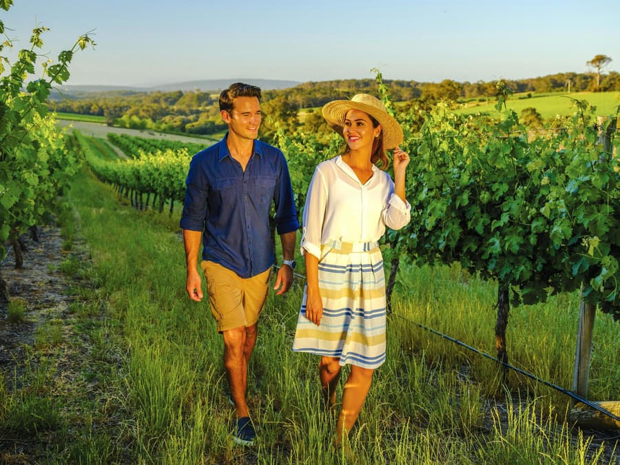 From Melbourne: Yarra Valley Small Group Tour with Chandon stop, Kangaroo Spotting at Sunset & Food Tasting