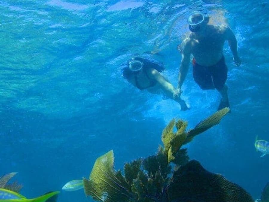 Excursión de Snorkel Doble Inmersión
