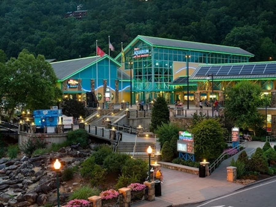 Billet d'entrée pour Ripley's Aquarium of the Smokies