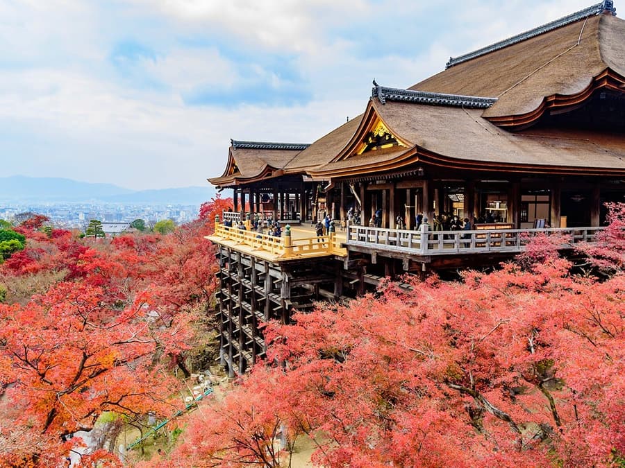 Desde Kioto/Osaka: Tour guiado por el Pabellón Dorado, el área del Templo Kiyomizu y el Santuario Fushimi-Inari