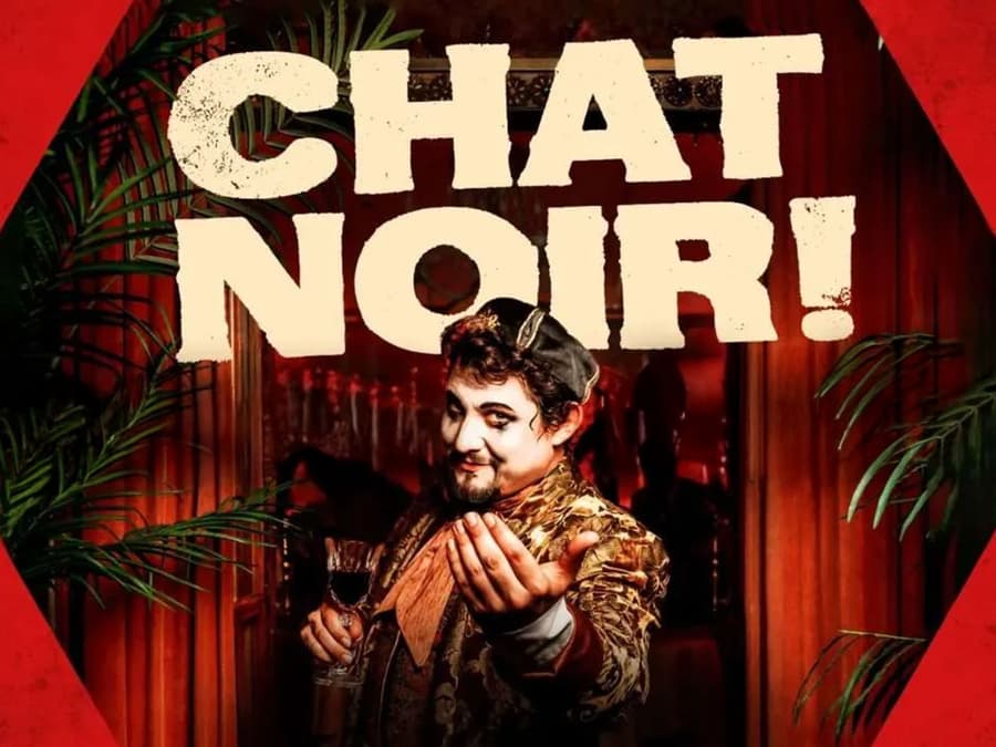Chat Noir