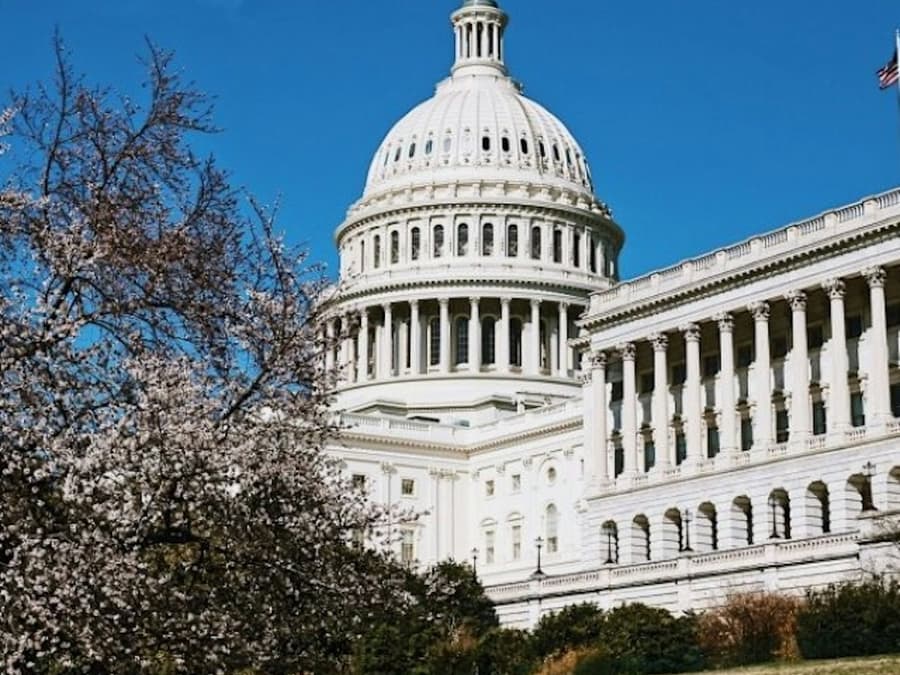 Capitol Hill: Small-Group Guided Walking Tour