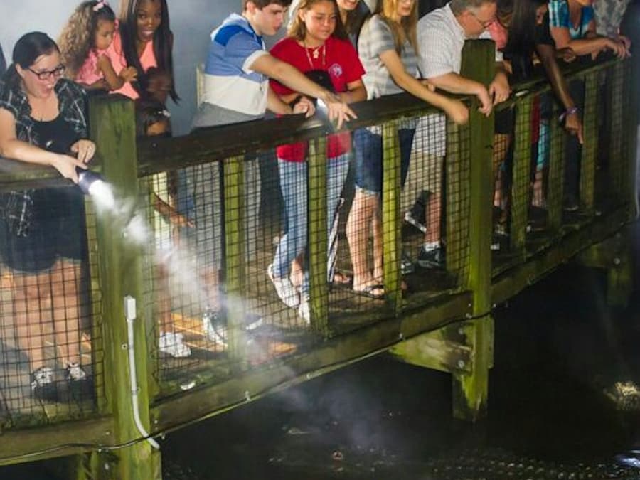 Gatorland Orlando: Gator Night Shine