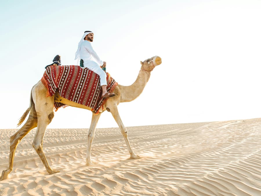 Abu Dhabi Camel Trekking Safari with Arabic Coffee & Dates