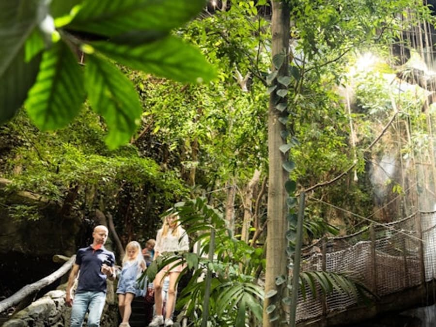 Universeum: Entry Ticket