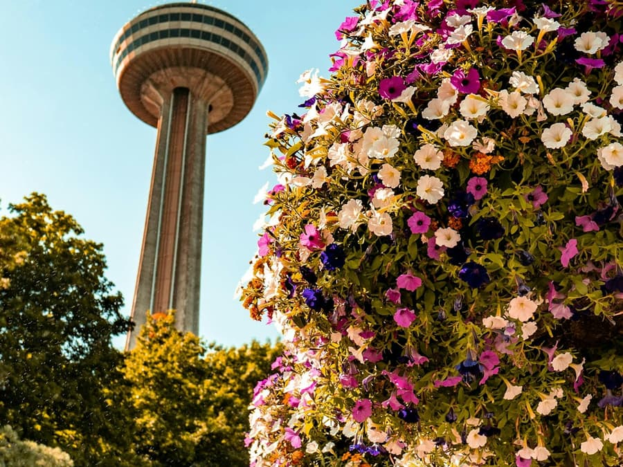 Niagara Falls: Guided Tour with Boat Cruise, Cave of the Winds & Skylon Tower
