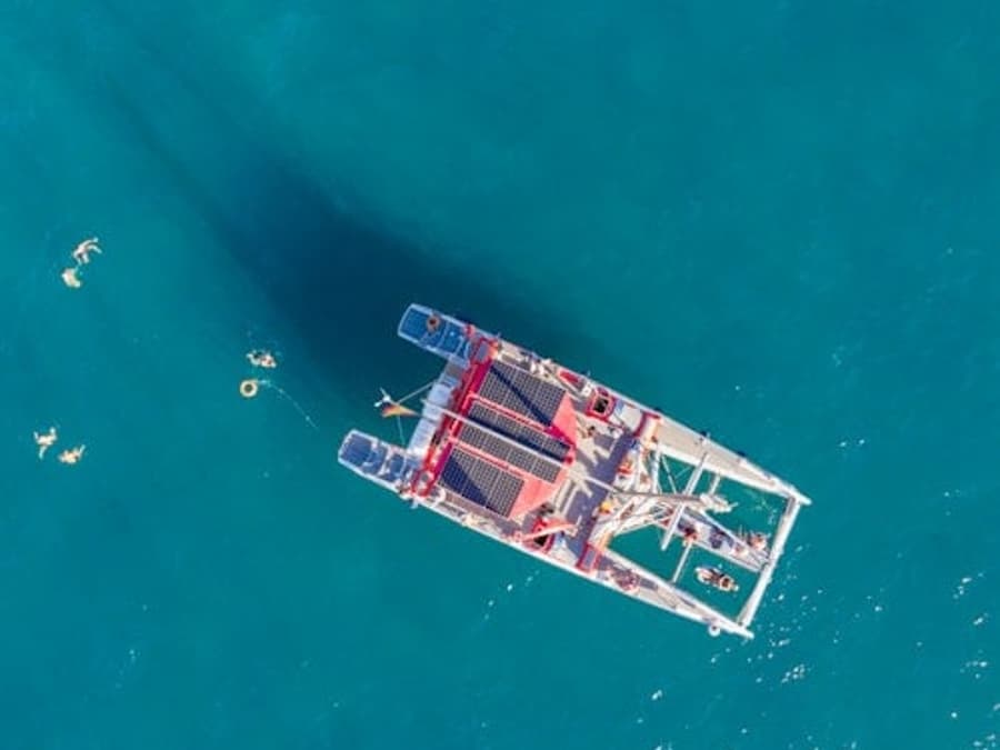 Tenerife: 3-Hour Whale & Dolphin Watching Eco-Catamaran Tour