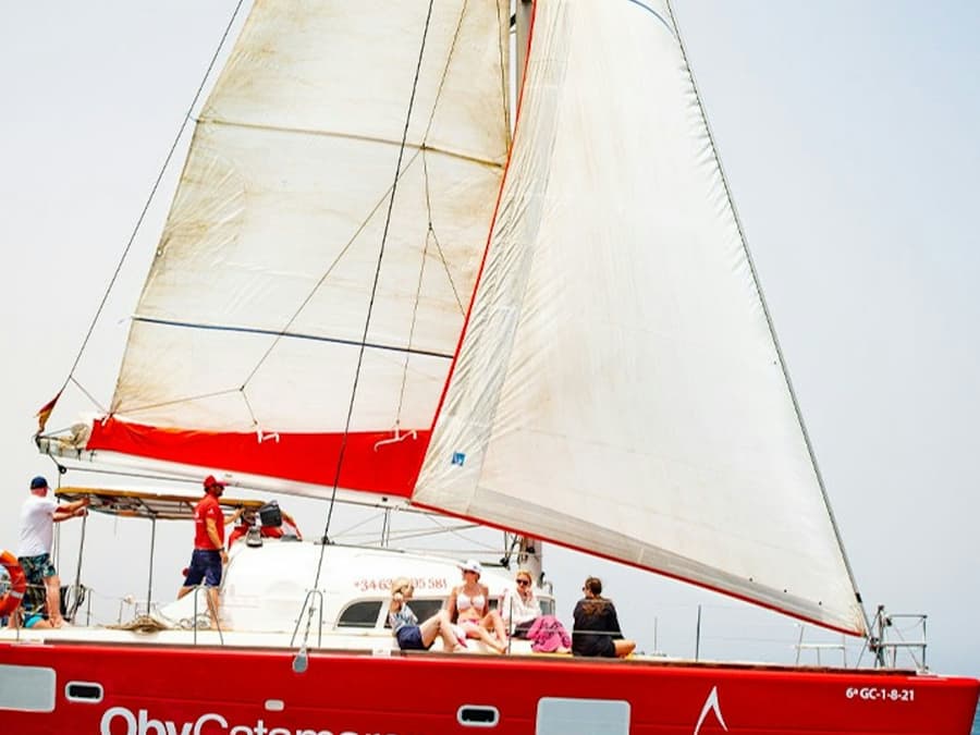 Lobos Island: Catamaran Cruise + Lunch & Drinks