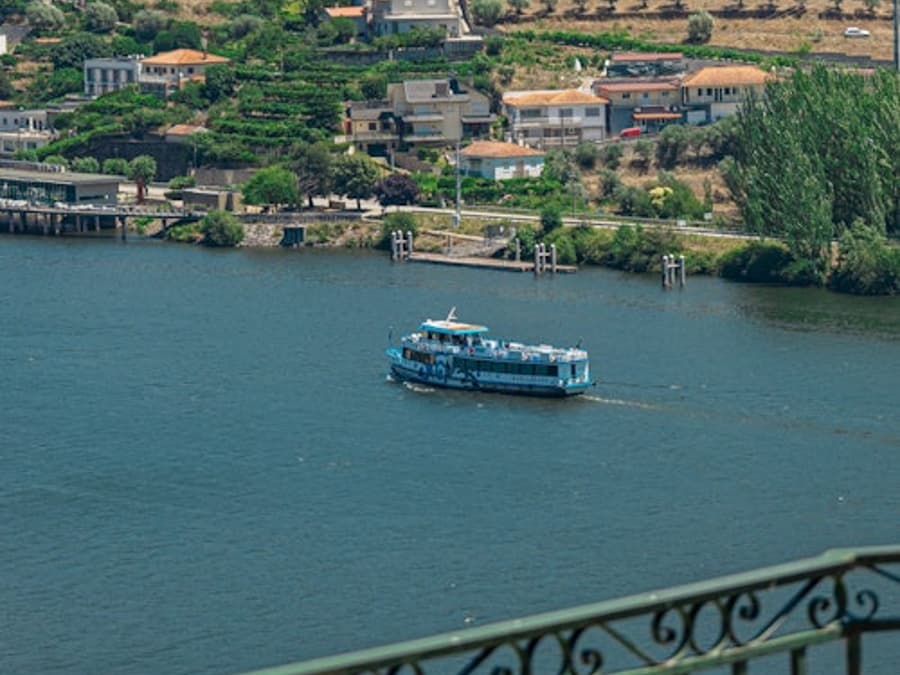 Douro Valley: Cruise + Lunch from Régua