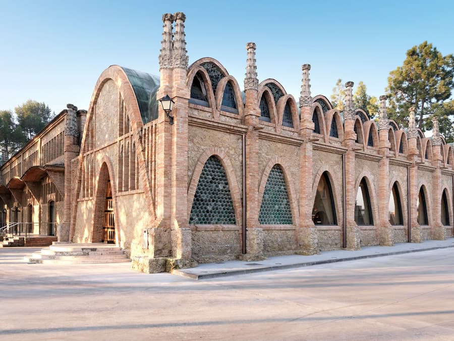Codorníu Winery: Guided Tour + Cava & Appetizers Tasting