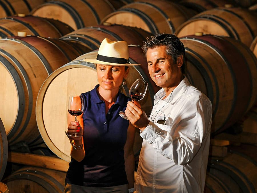 From Dubrovnik: Pelješac Wine Region Private Tour with Winery Visits