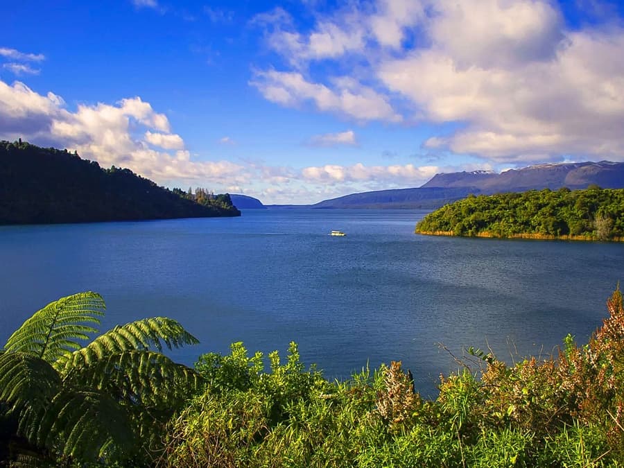 Tarawera & Lakes Eco Tour