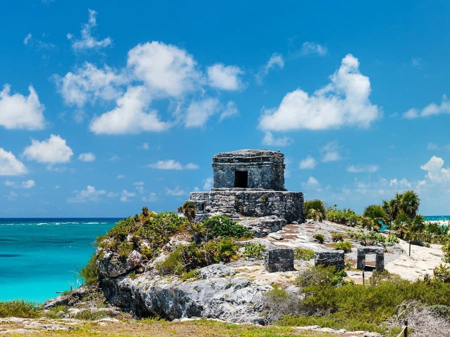 Tulum: Snorkeling with Turtles in Akumal + Mariposa Cenote + Lunch + Transfer