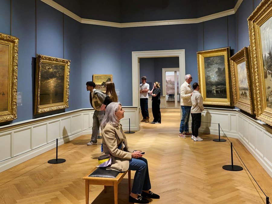 Museum Panorama Mesdag: Entry Ticket