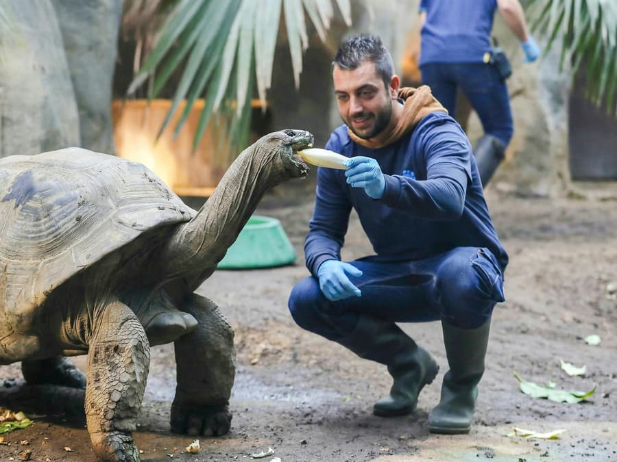 ZooParc de Beauval 2-Day Entry Ticket
