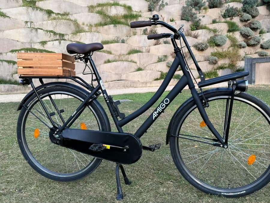 Valencia: Dutch-Style "Omafiets" City Bike Rental from Russafa Area