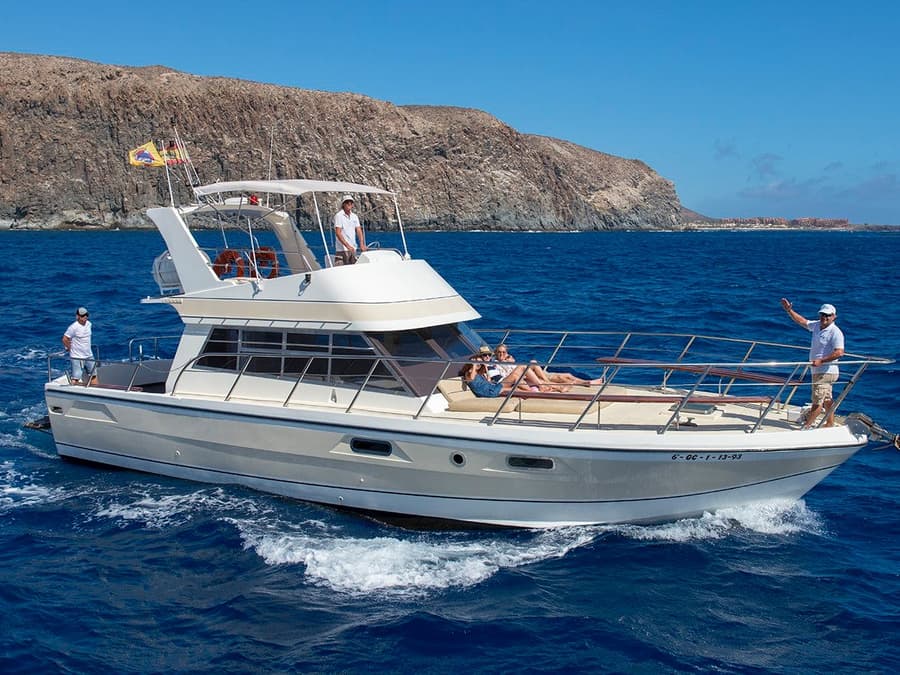 Los Cristianos: 3-Hour Whale & Dolphin Watching Shared Yacht