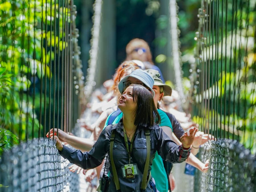 Mistico Arenal Hanging Bridges Park: Entry Ticket