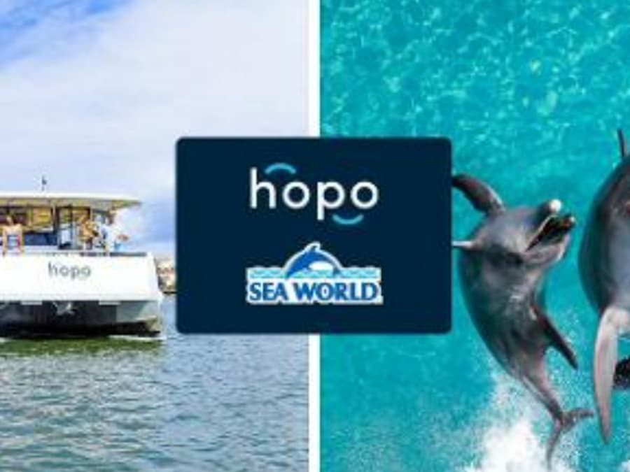 Sea World Gold Coast: Entry Ticket + Roundtrip Ferry