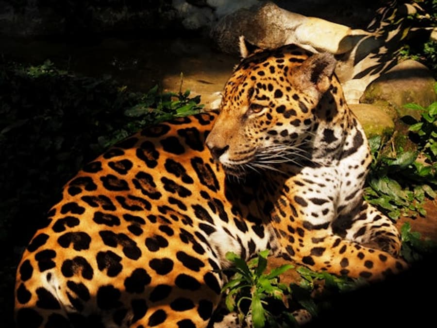 Parque de la Conservación Medellín: Skip The Line Ticket
