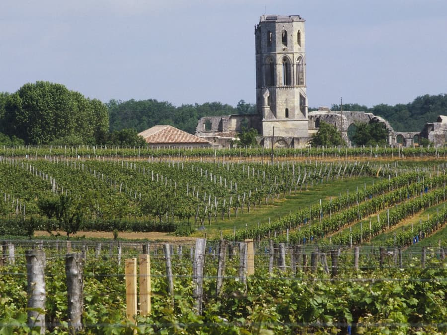 Abbaye de La Sauve-Majeure: Entry Ticket