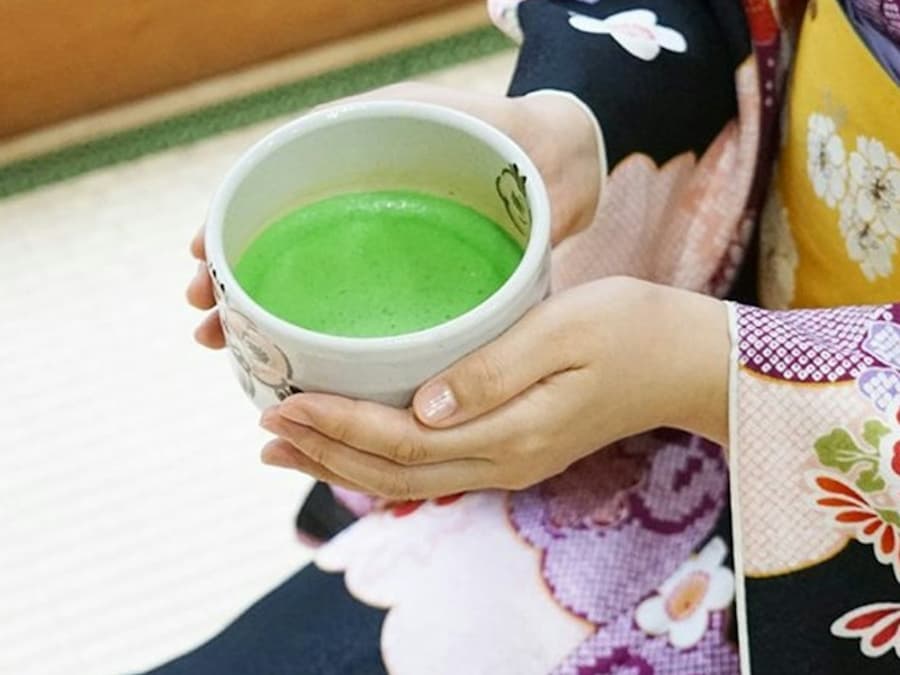 Tokyo: Full-Day Guided Tour + Lunch + Cruise + Transfer