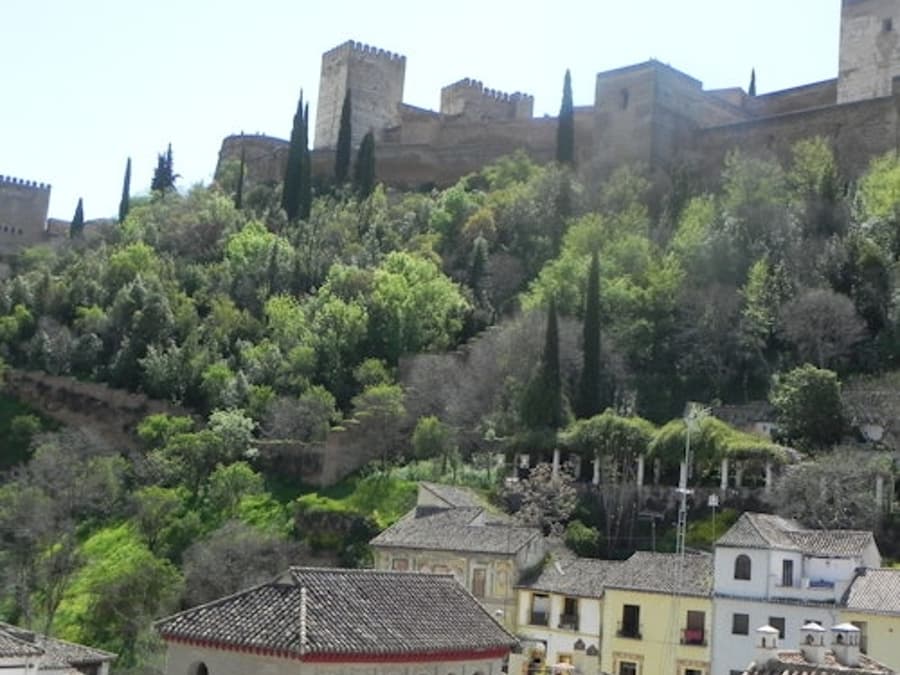 Palacio de los Olvidados: Skip The Line Ticket