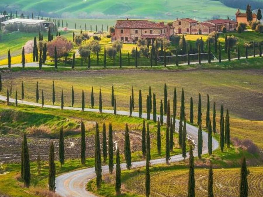 Montalcino: Wine Tasting Tour from San Gimignano