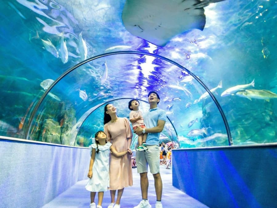 VinKE & Vinpearl Aquarium: Entry Ticket