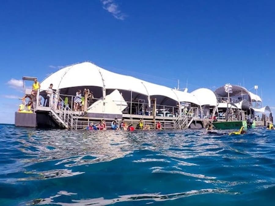 Avontuur naar het Great Barrier Reef
