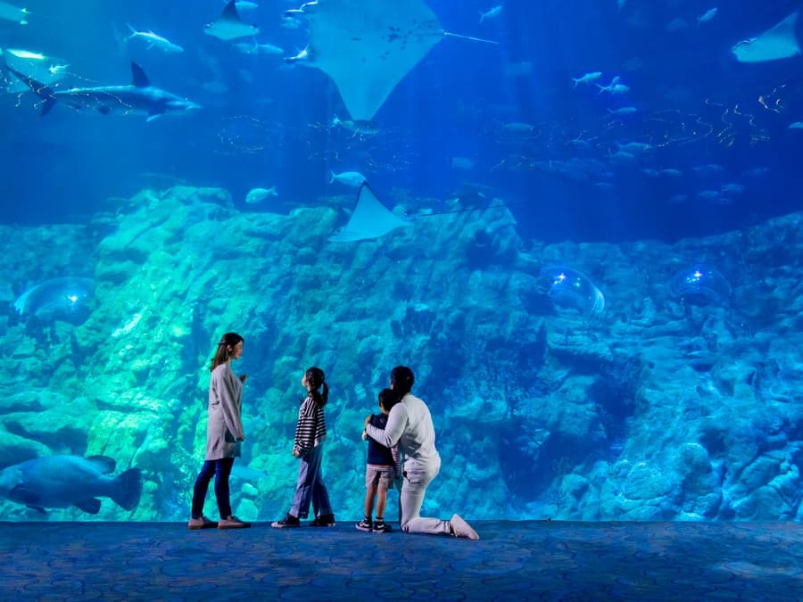 Ocean Park Hong Kong Tickets