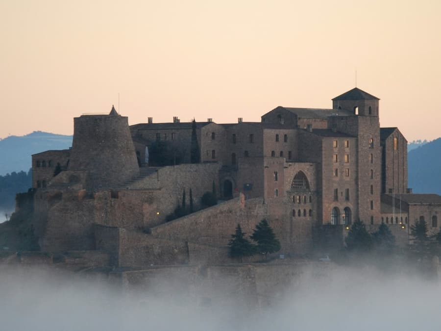 Castle of Cardona: Guided Visit