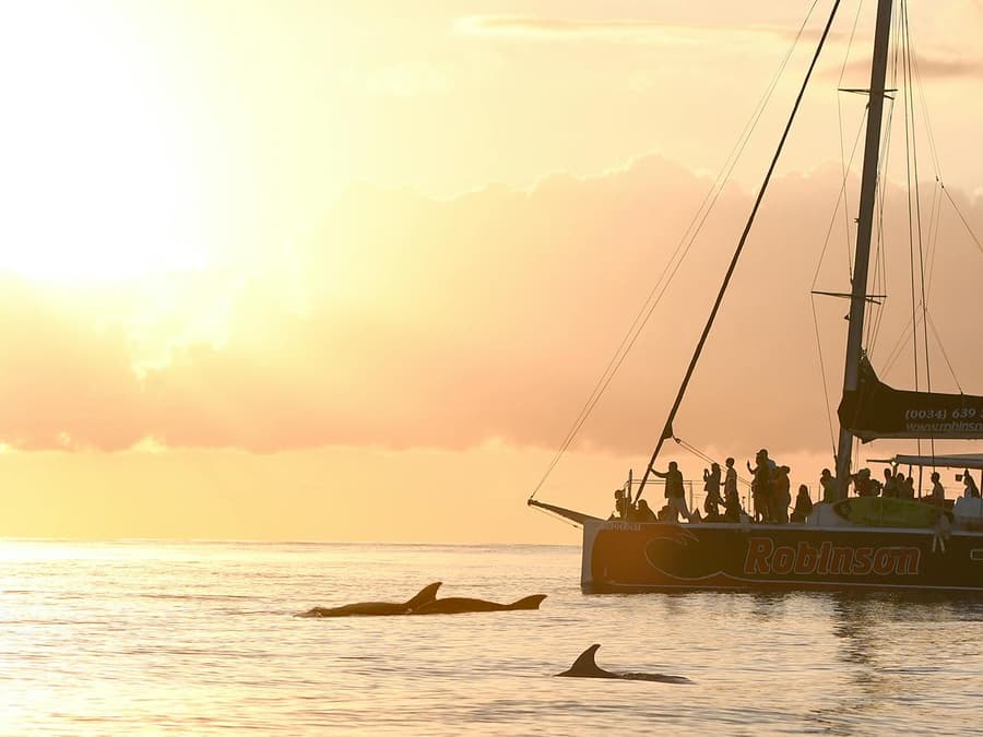 Mallorca Sunrise and Dolphin Watching Catamaran