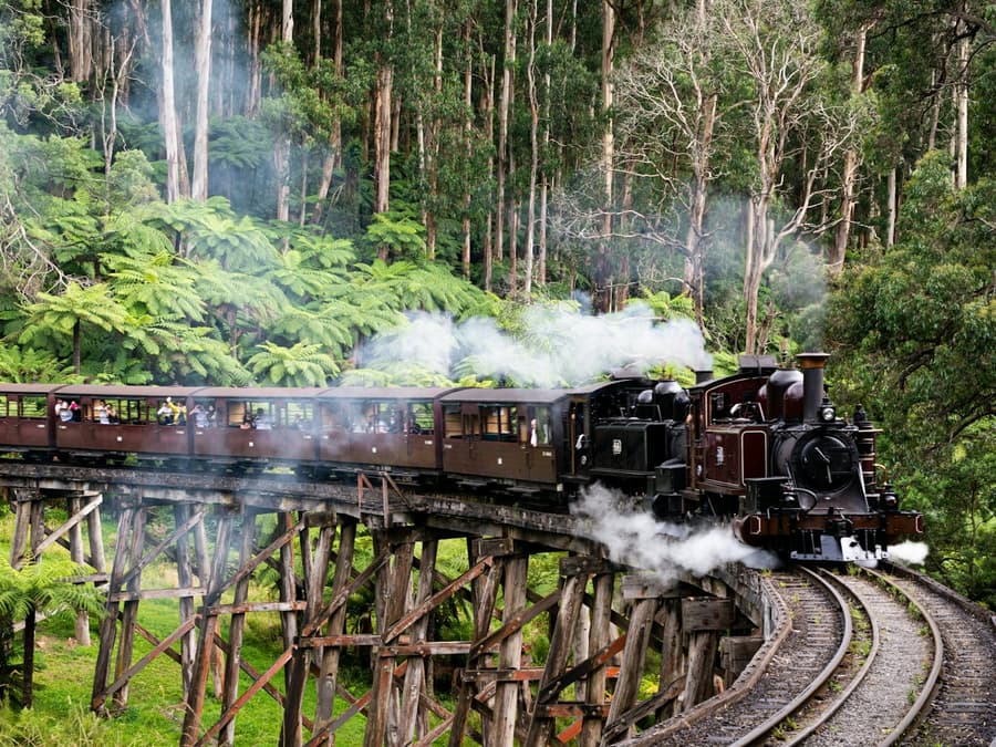 Puffing Billy Railway: Ride & Wildlife Tour + Transfers