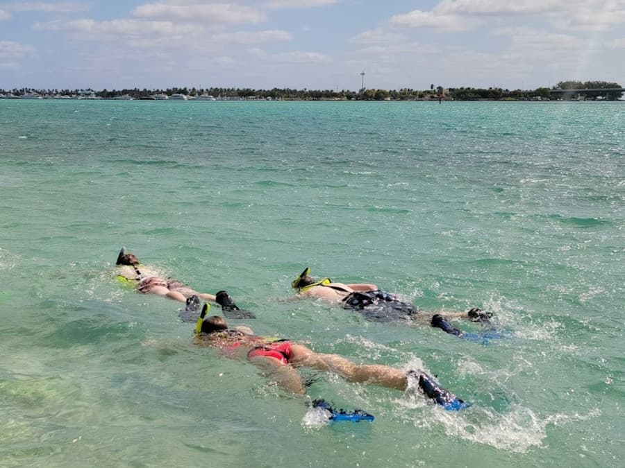 Miami: Snorkeling Tour on Islands by SUP or Kayak