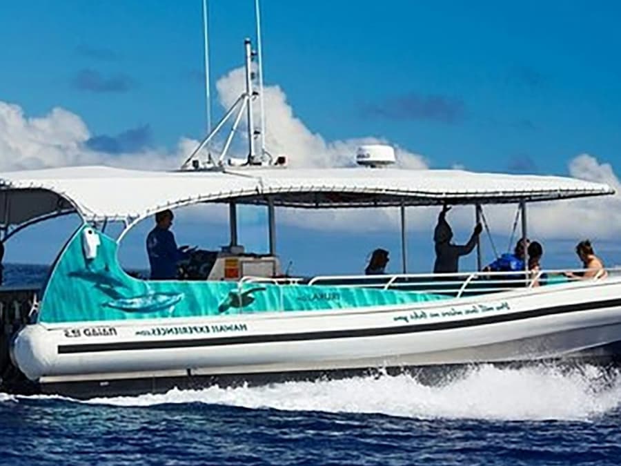 Kona Afternoon Snorkel Tour