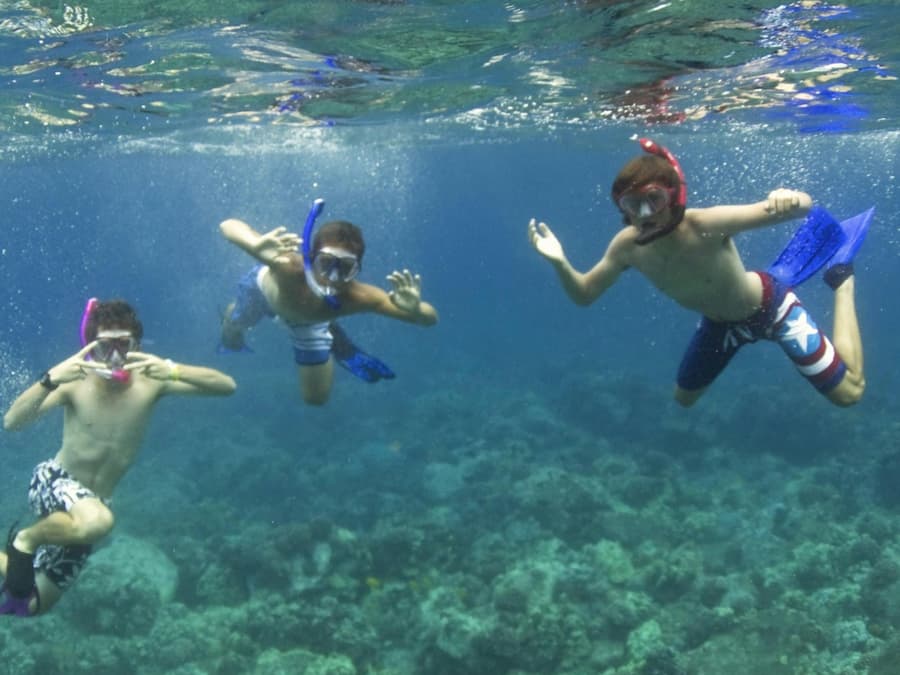 Kealakekua Bay and Captain Cook: Snorkeling Experience