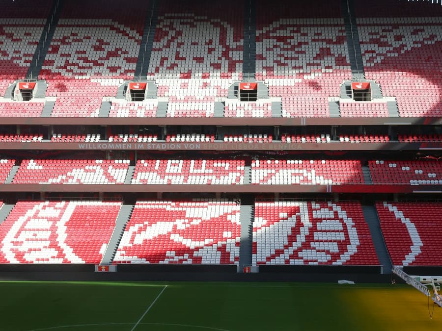 Estádio da Luz: Entry Ticket + Scarf Offer