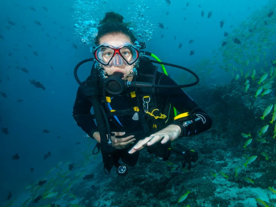 Beginner Scuba Diving Tour with Videos