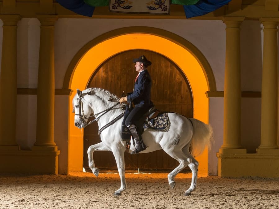 Royal Andalusian School of Equestrian Art: Full Visit + Optional VIP Upgrade